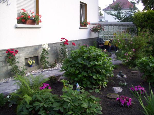 Hotel Pension Wiesenau Salzhausen Exterior foto